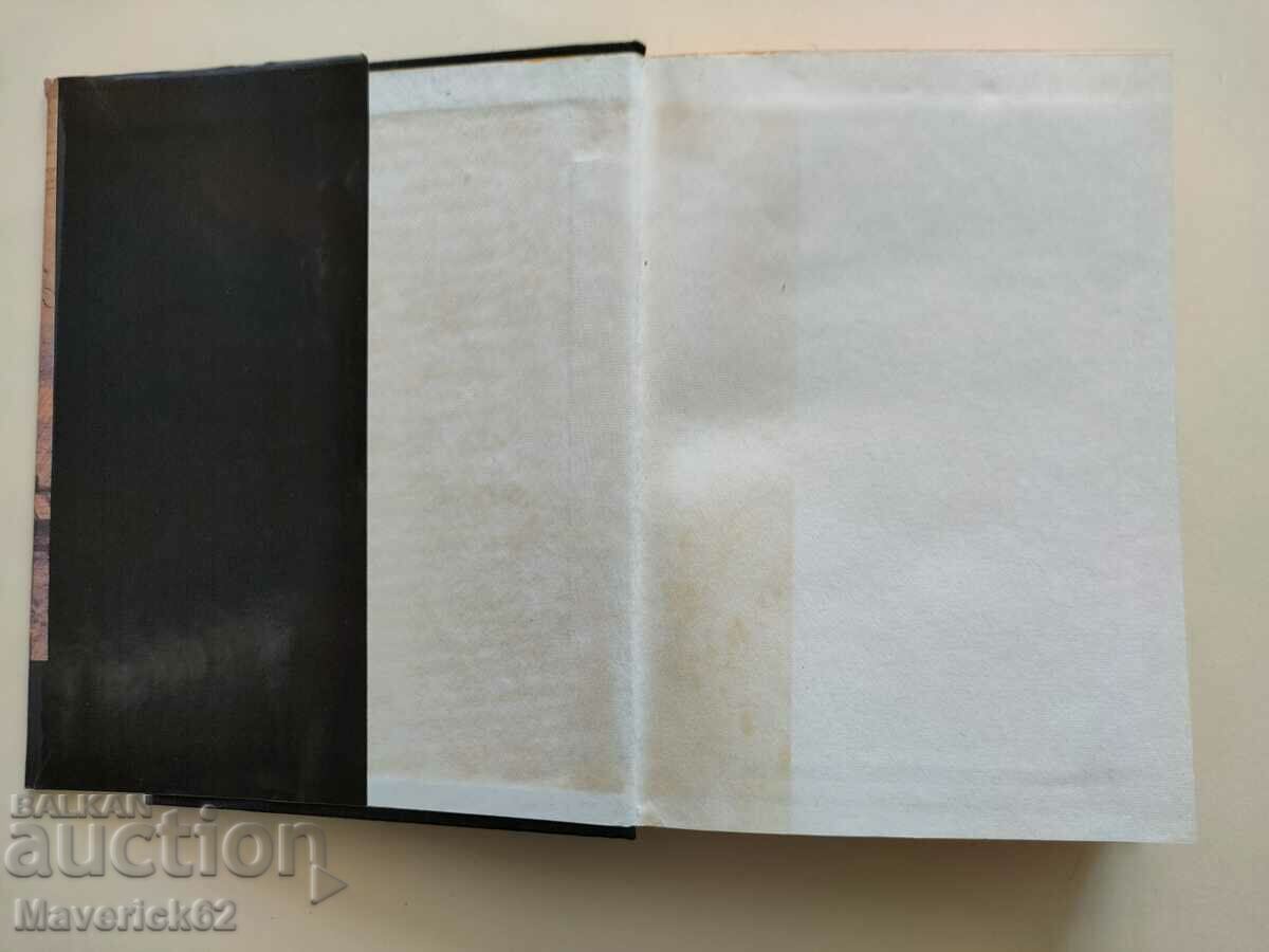 Idiot in Russian with price 10.00 BGN | € 5.11 Idiot in Russian with price 10.00 BGN | € 5.11