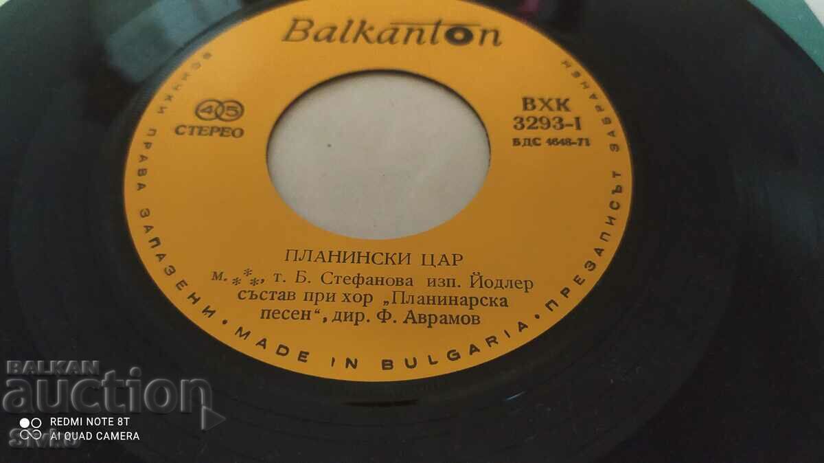 Gramophone record Song for Rila - 5 Gramophone record Song for Rila - 5