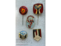 Interesting lot of badges