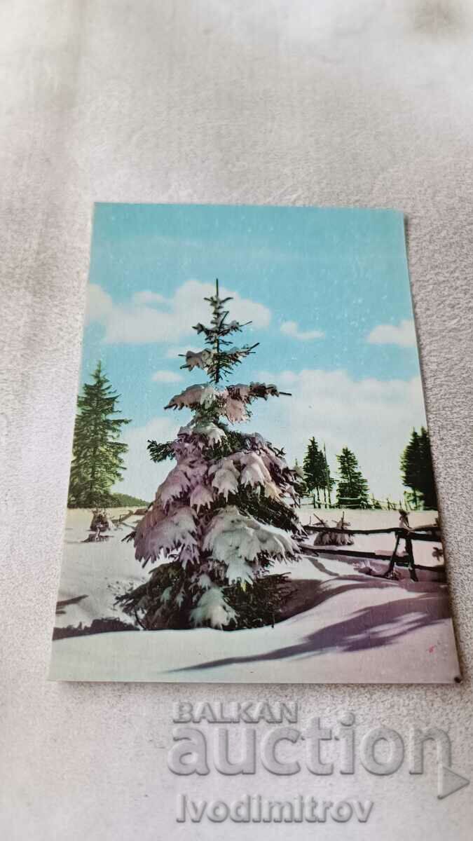 Postcard Rhodopes Hut Persenk