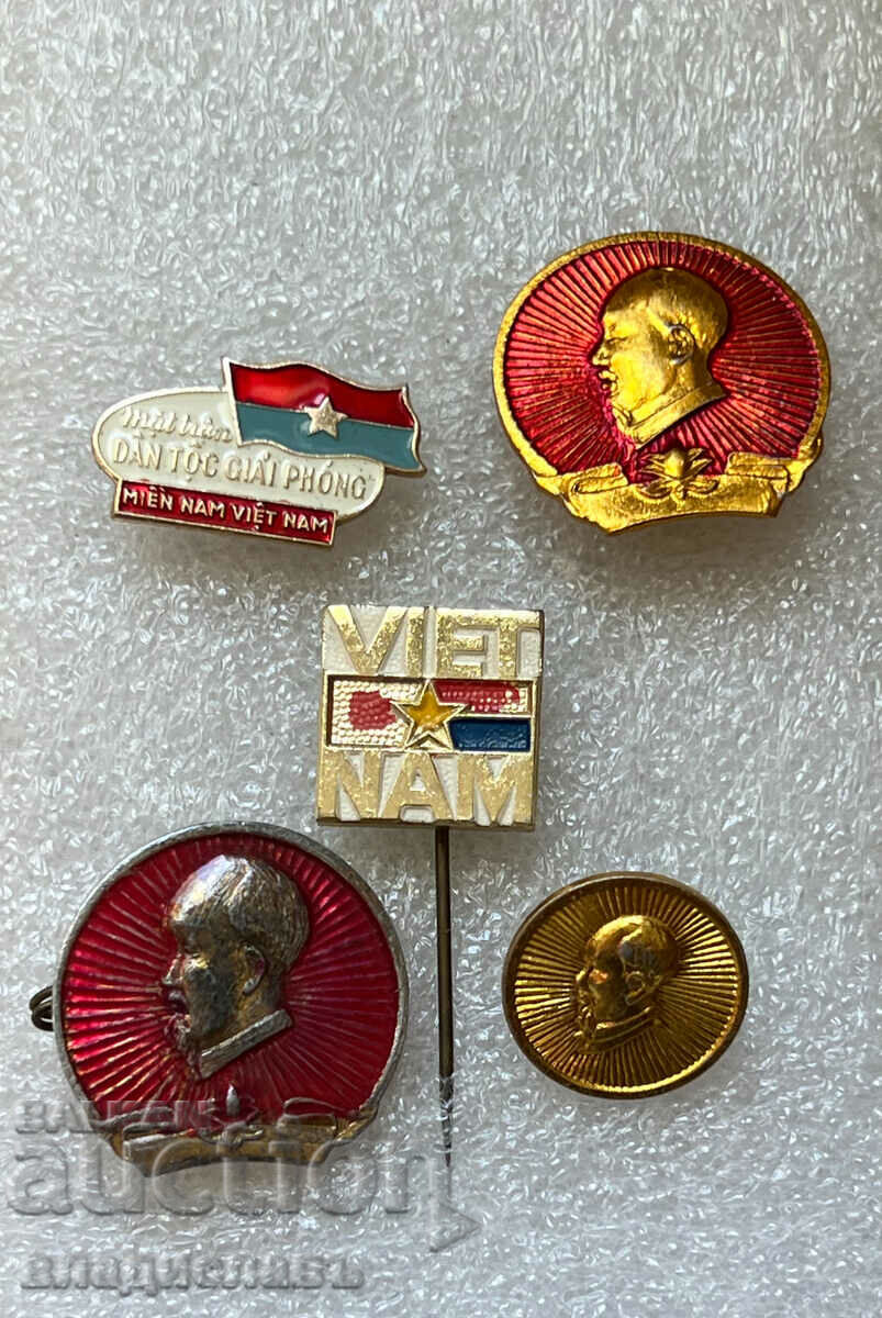 Interesting lot of badges VIETNAM