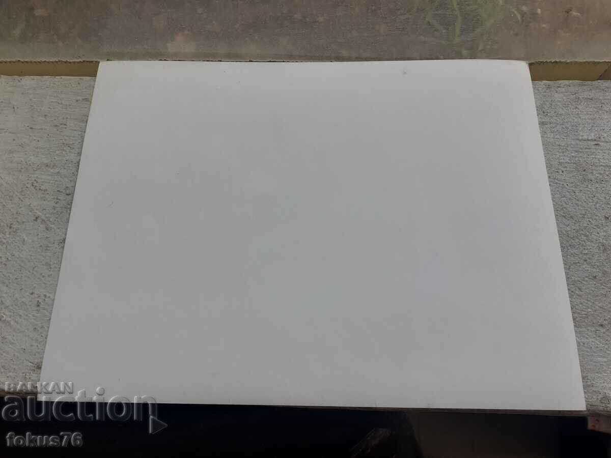 Delivery of Photo photocopy Soc BTA PressPhoto pioneer railway Plovdi Delivery of Photo photocopy Soc BTA PressPhoto pioneer railway Plovdi