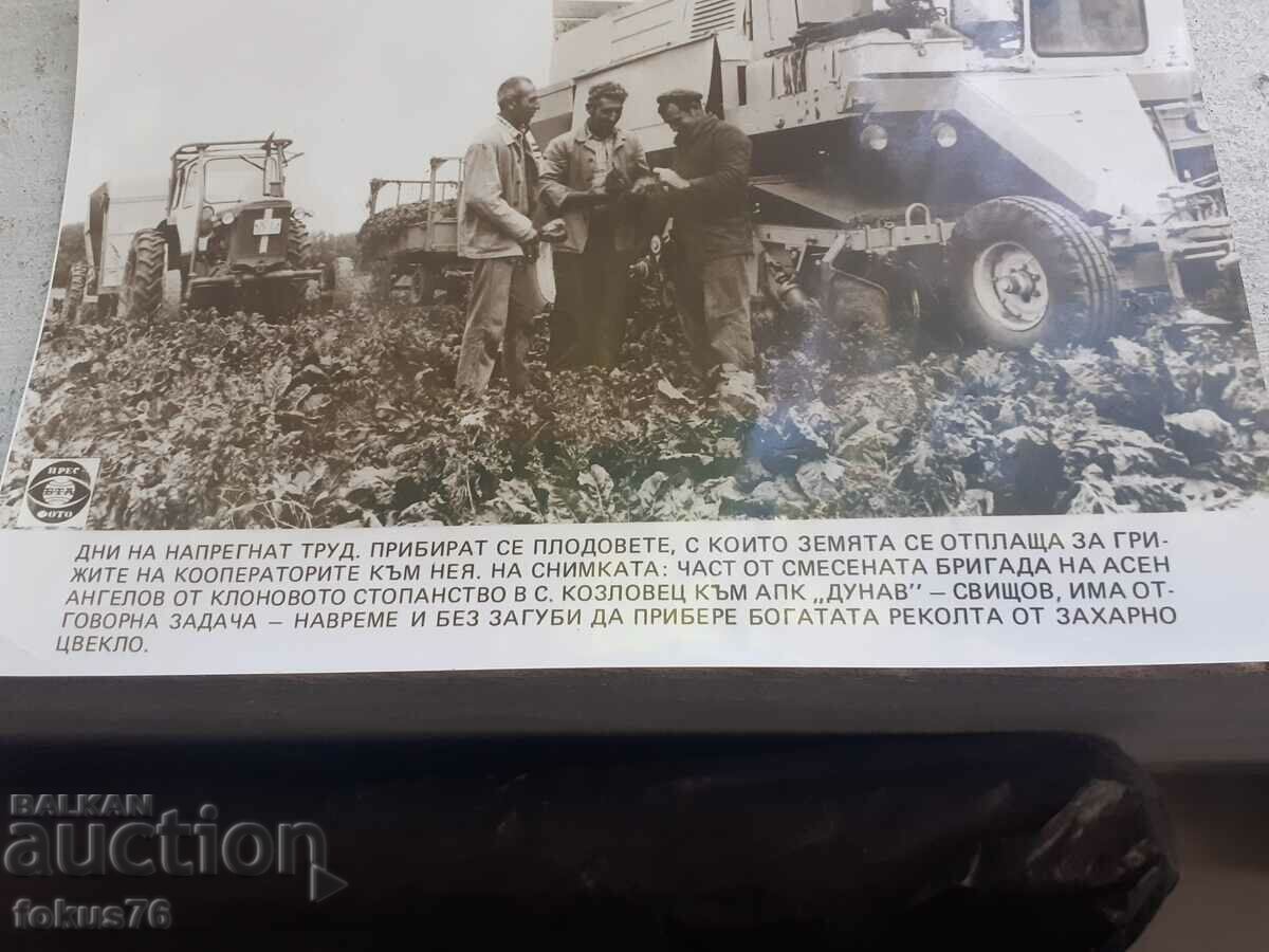 Auction Photo photocopy Soc BTA Press Photo cooperators farmers Auction Photo photocopy Soc BTA Press Photo cooperators farmers