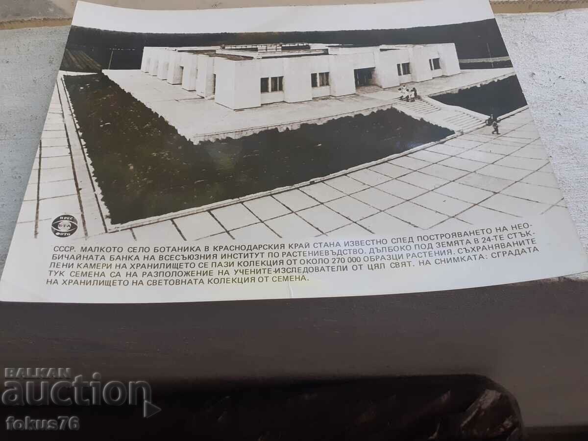 Photo photocopy Soc BTA Press Photo repository USSR with price 15.00 BGN | € 7.67 Photo photocopy Soc BTA Press Photo repository USSR with price 15.00 BGN | € 7.67