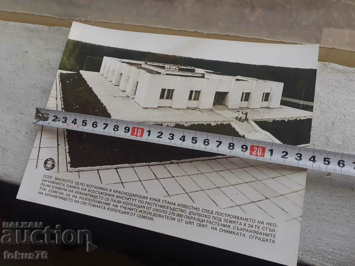 Delivery of Photo photocopy Soc BTA Press Photo repository USSR Delivery of Photo photocopy Soc BTA Press Photo repository USSR