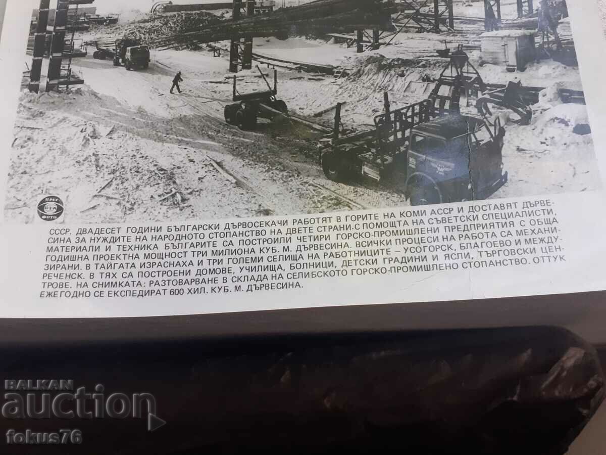 Photo photocopy Soc BTA PressPhoto Bulgarian woodcutters USSR with price 45.00 BGN | € 23.01 Photo photocopy Soc BTA PressPhoto Bulgarian woodcutters USSR with price 45.00 BGN | € 23.01