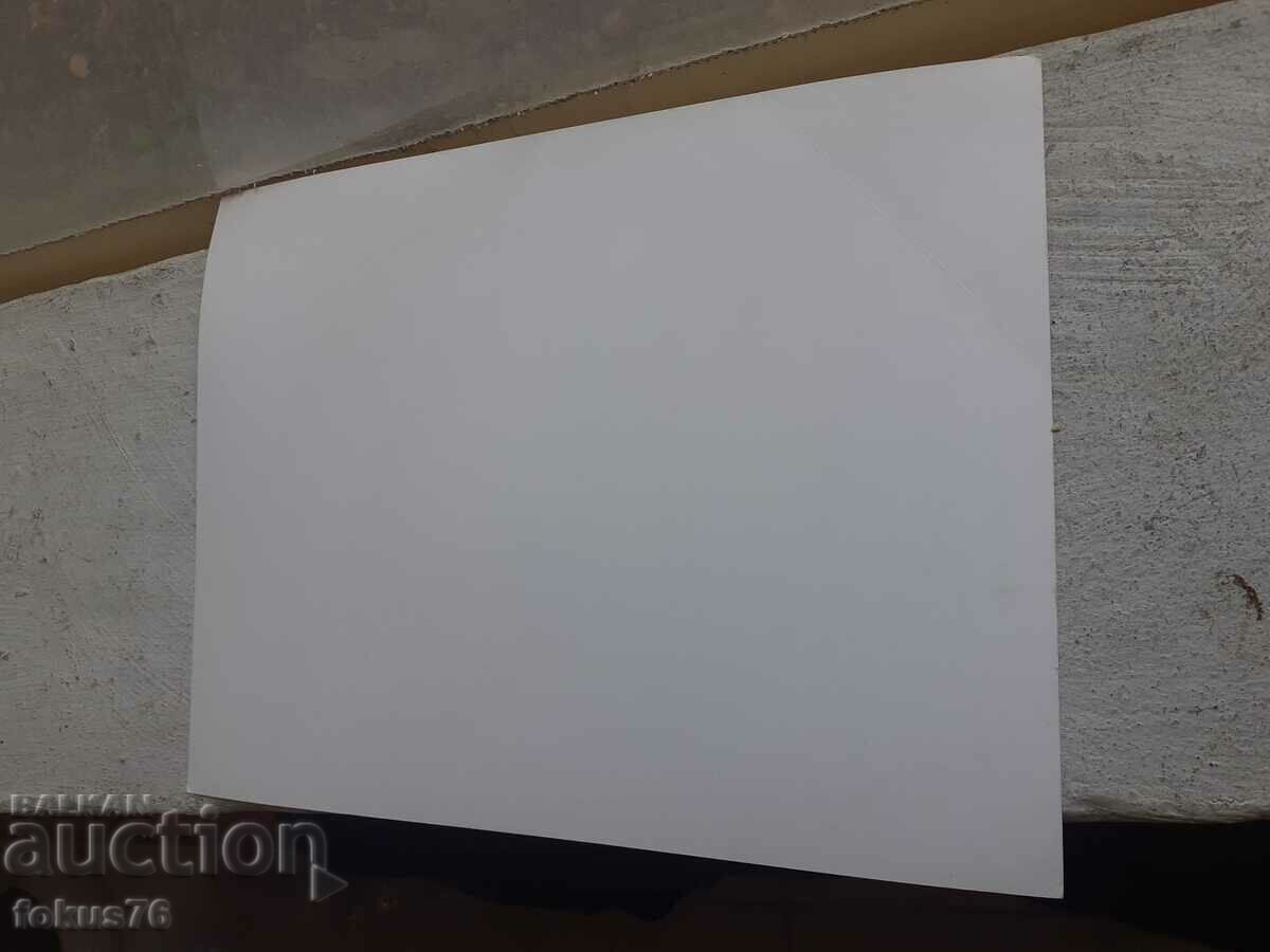 Auction  Photo photocopy Soc BTA PressPhoto art gymnastics USSR