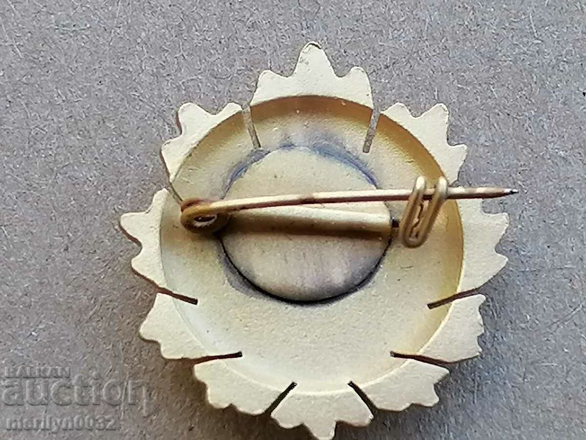 Miniature of the Order of the People's Republic of Bulgaria 1st degree with price 165.00 BGN | € 84.36 Miniature of the Order of the People's Republic of Bulgaria 1st degree with price 165.00 BGN | € 84.36