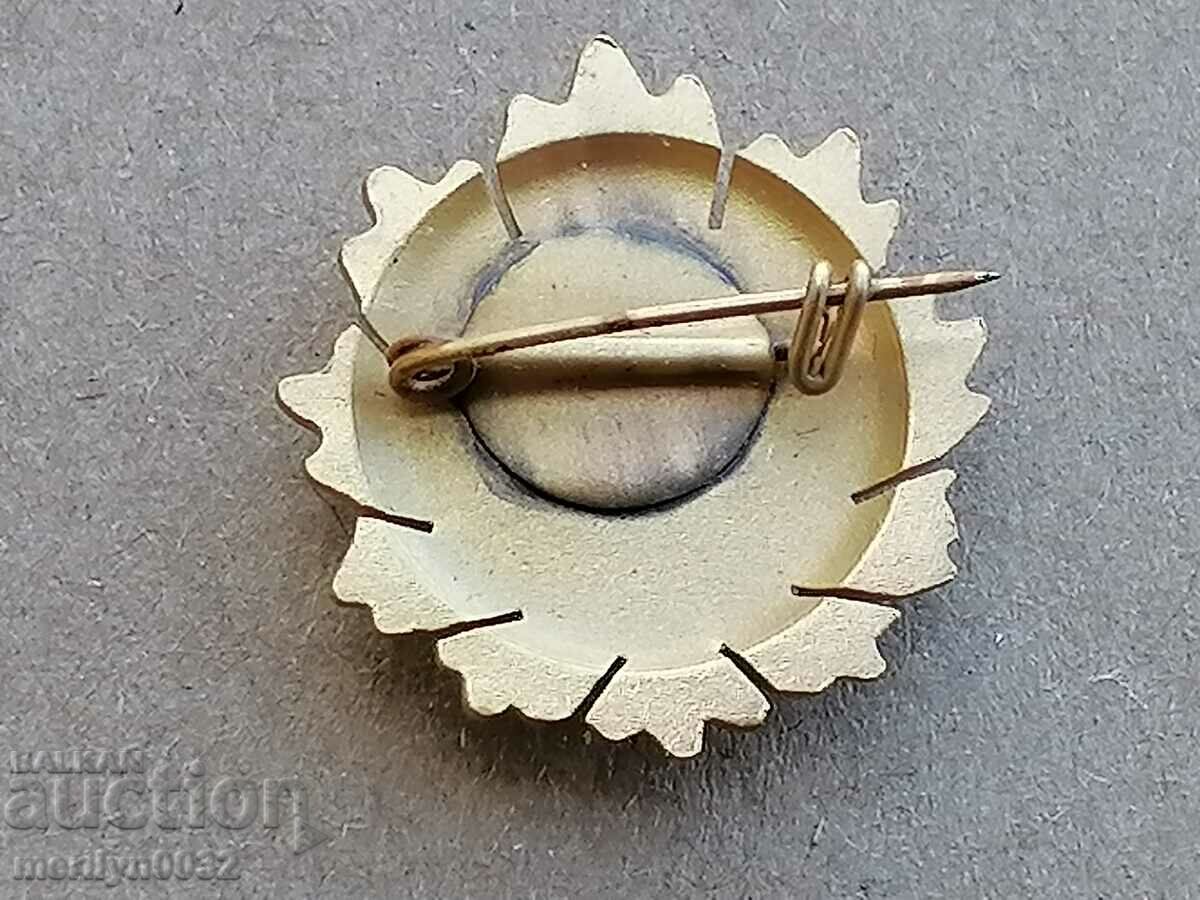 Miniature of the Order of the People's Republic of Bulgaria 1st degree - 5 Miniature of the Order of the People's Republic of Bulgaria 1st degree - 5