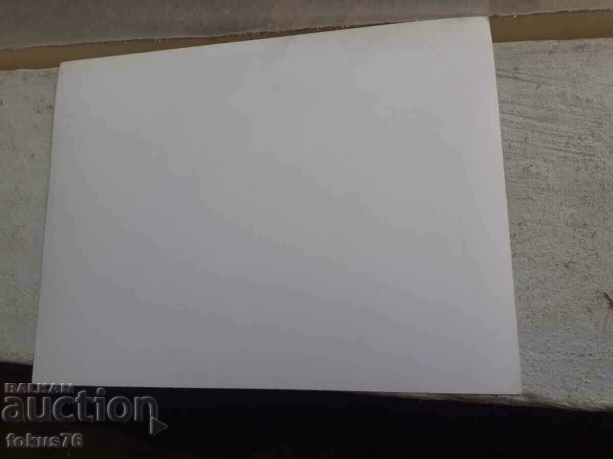 Auction Photo photocopy Soc BTA Press Photo swimming children Auction Photo photocopy Soc BTA Press Photo swimming children