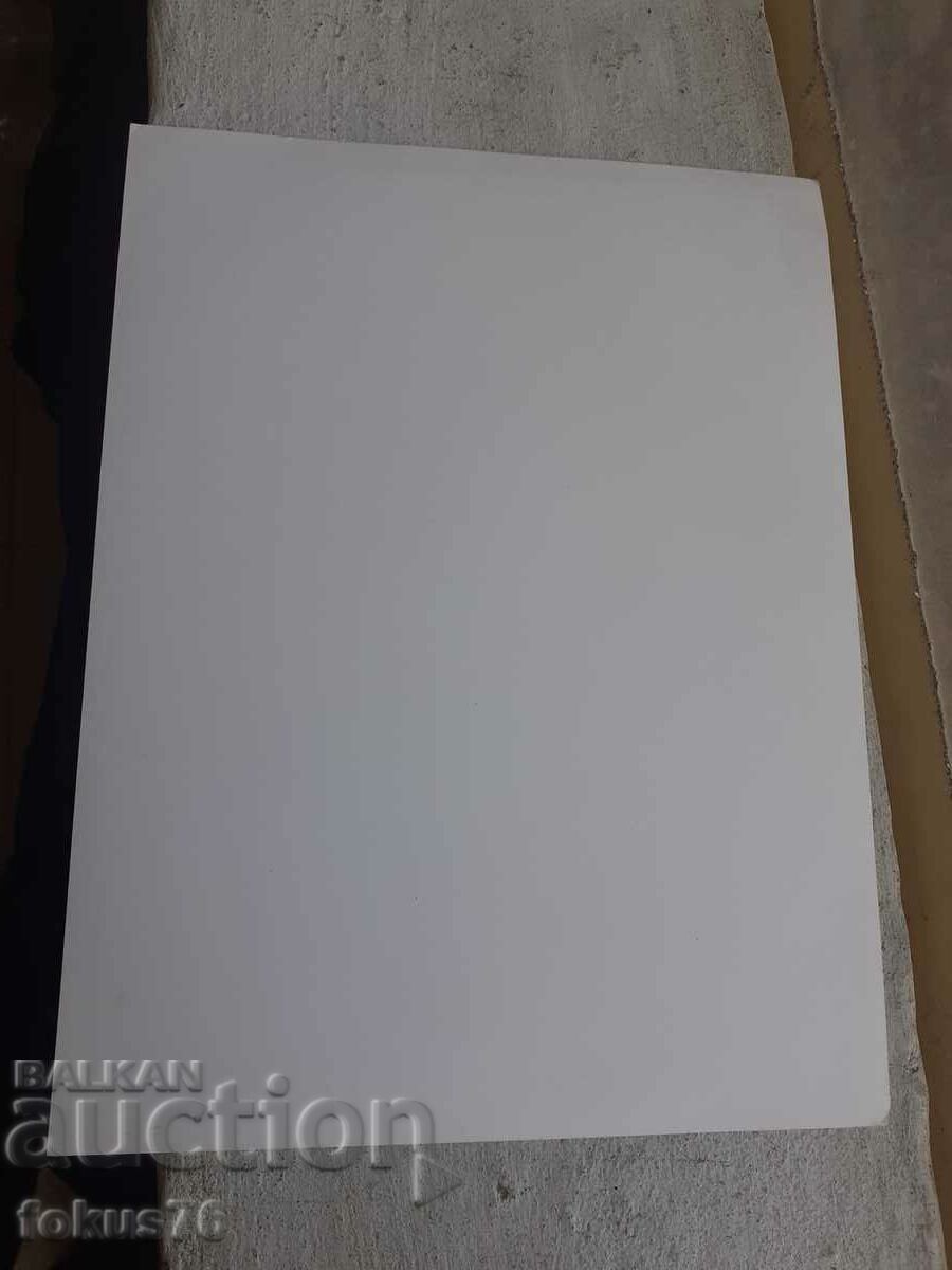 Photo photocopy Social BTA Press Photo Iliana Raeva with price 79.00 BGN | € 40.39