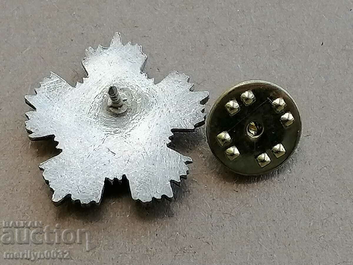 Delivery of Miniature of the Order of Courage NRB