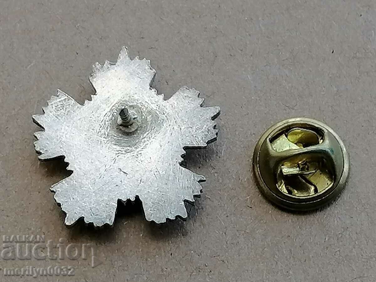 Miniature of the Order of Courage NRB - 5