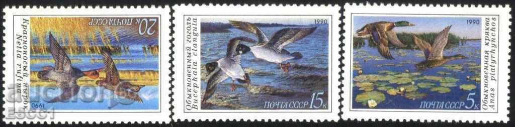 Ștampile curate Fauna Păsări Rațe 1990 din URSS