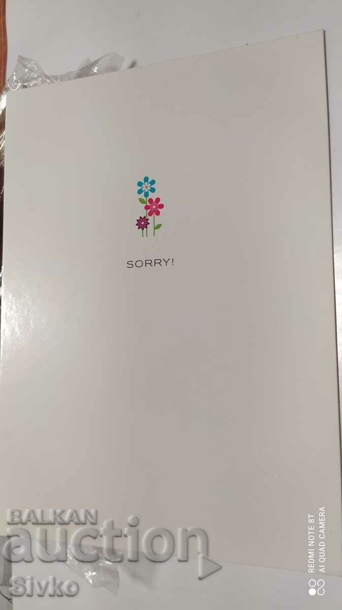 SORRY card - 2