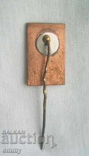 Auction Sport badge - ice skating, Riga, Latvia. Email Auction Sport badge - ice skating, Riga, Latvia. Email