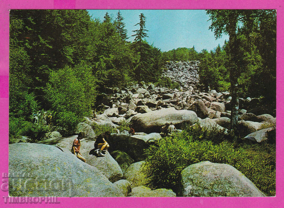 310767 / Muntele Vitosha - Poduri de aur 1973 Ediție foto PK