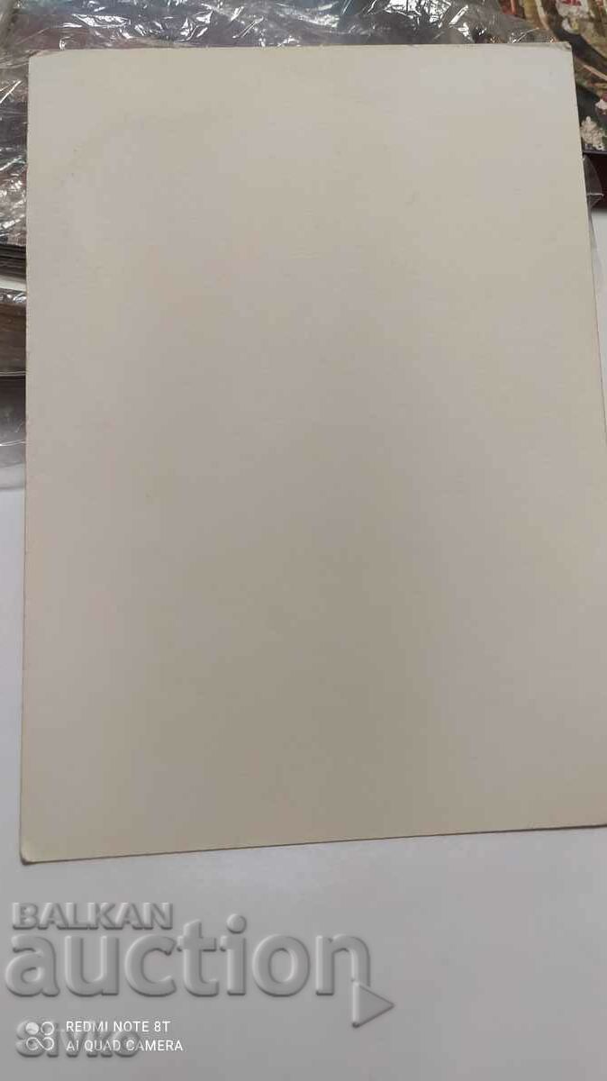 Karlovo card with price 0.49 BGN | € 0.25