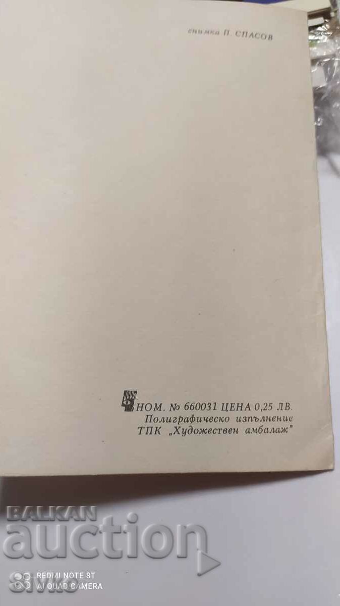 Auction Card flowers, martenitsa Auction Card flowers, martenitsa