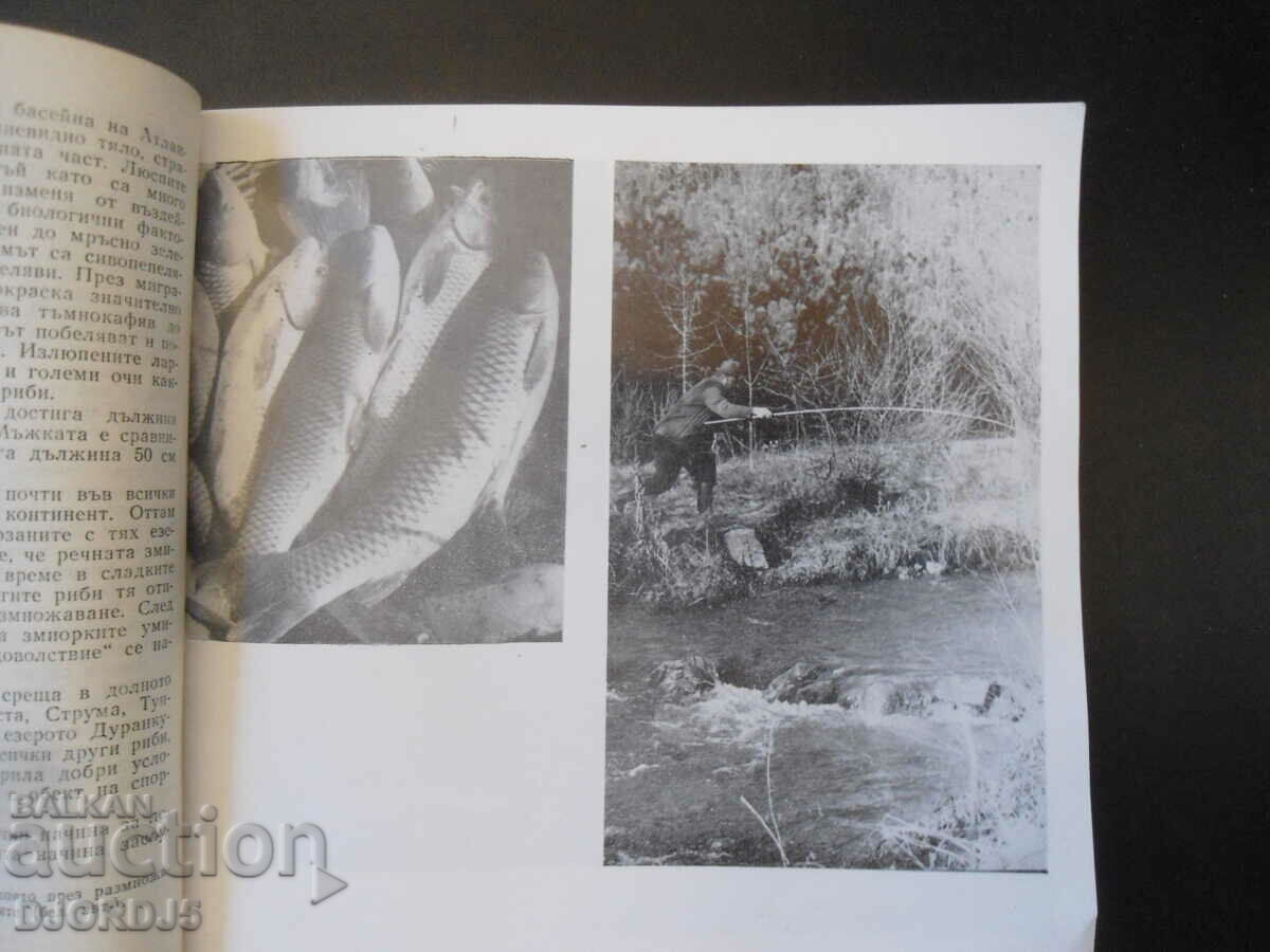 Αθλητικό ψάρεμα με τιμή 5.00 BGN | € 2.56 Αθλητικό ψάρεμα με τιμή 5.00 BGN | € 2.56