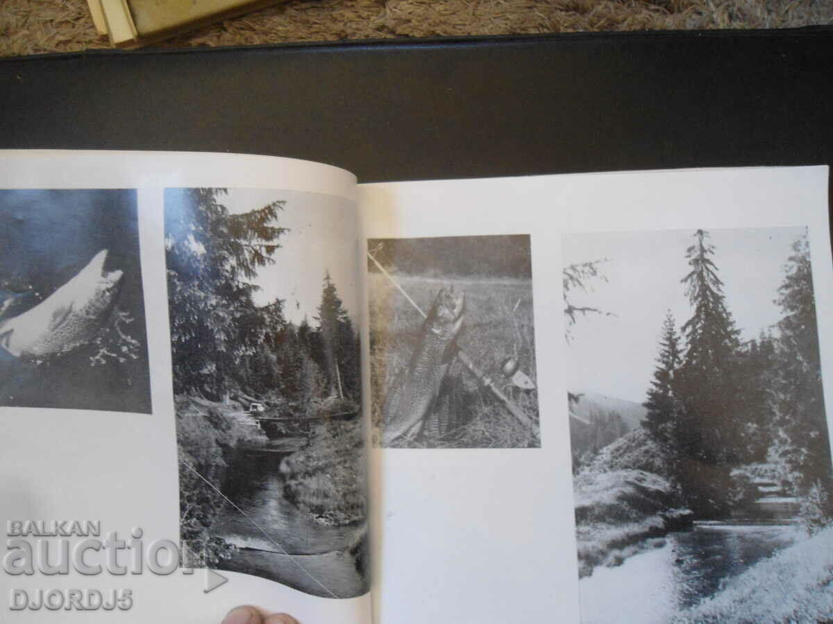 Δημοπρασία Αθλητικό ψάρεμα Δημοπρασία Αθλητικό ψάρεμα