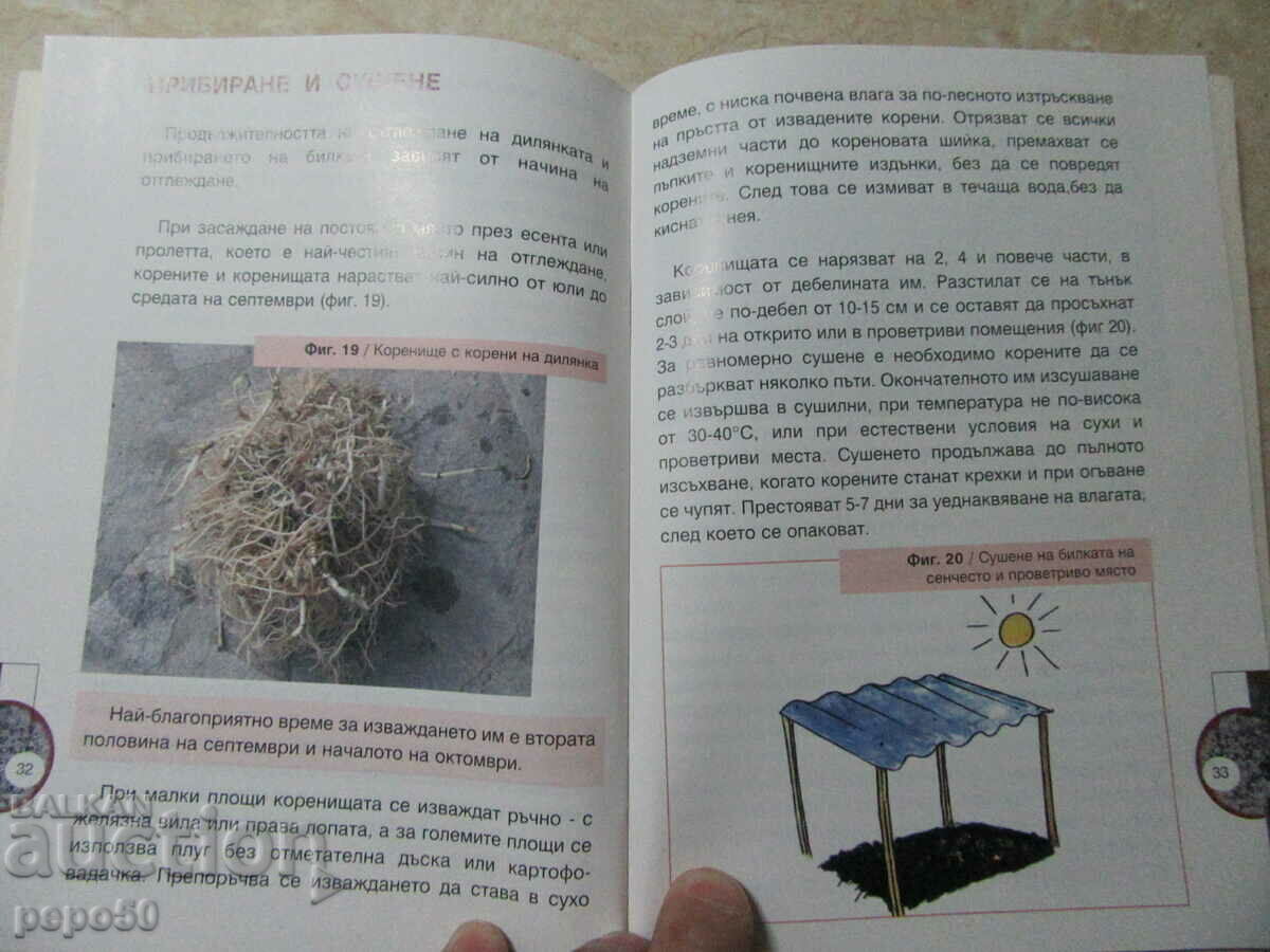 HANDBOOK FOR GROWING GARDEN - 2005 - 5 HANDBOOK FOR GROWING GARDEN - 2005 - 5