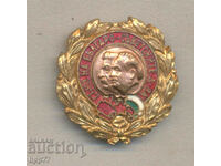 Rare award sign Union of Bulgarian-Soviet Societies zla