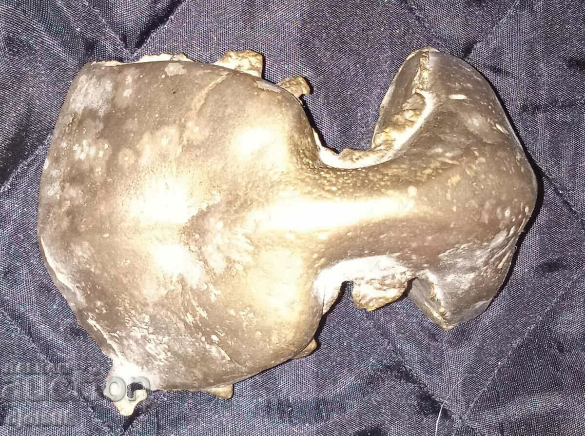 Venelin Iv. Penev. 1994 "Morning Dressing" - 5 Venelin Iv. Penev. 1994 "Morning Dressing" - 5