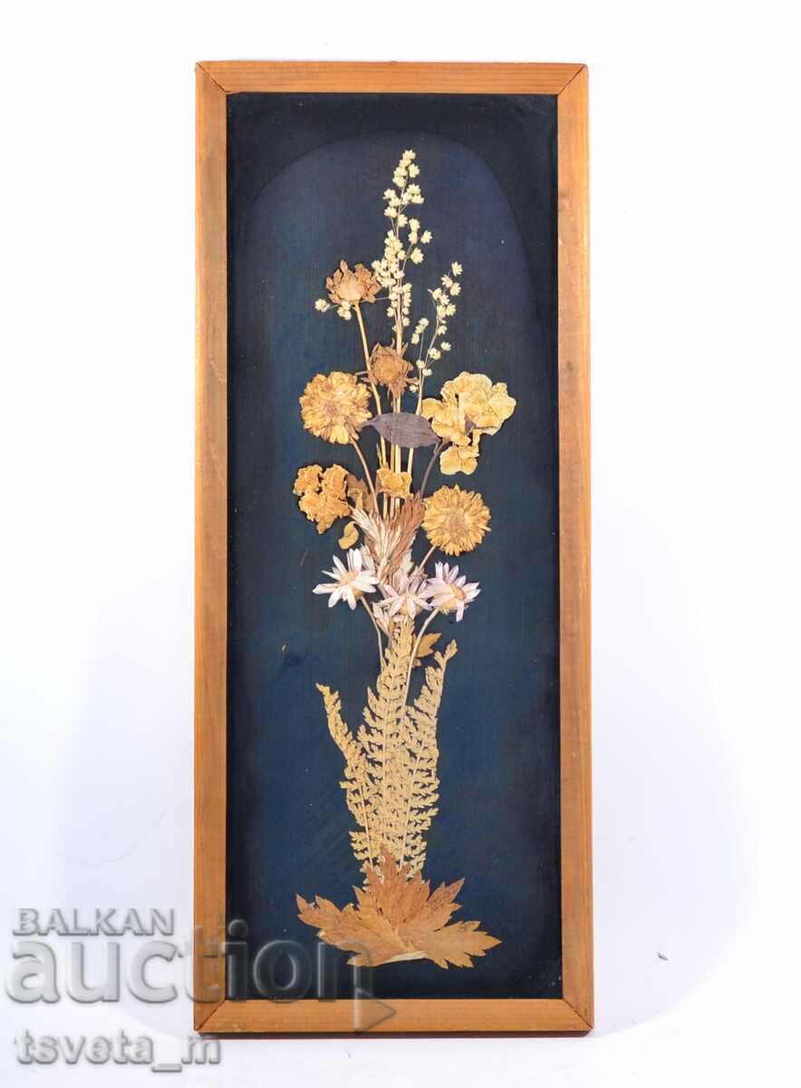 Herbarium picture under glass, natural dried flowers