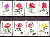 BC 2065-72 Roses