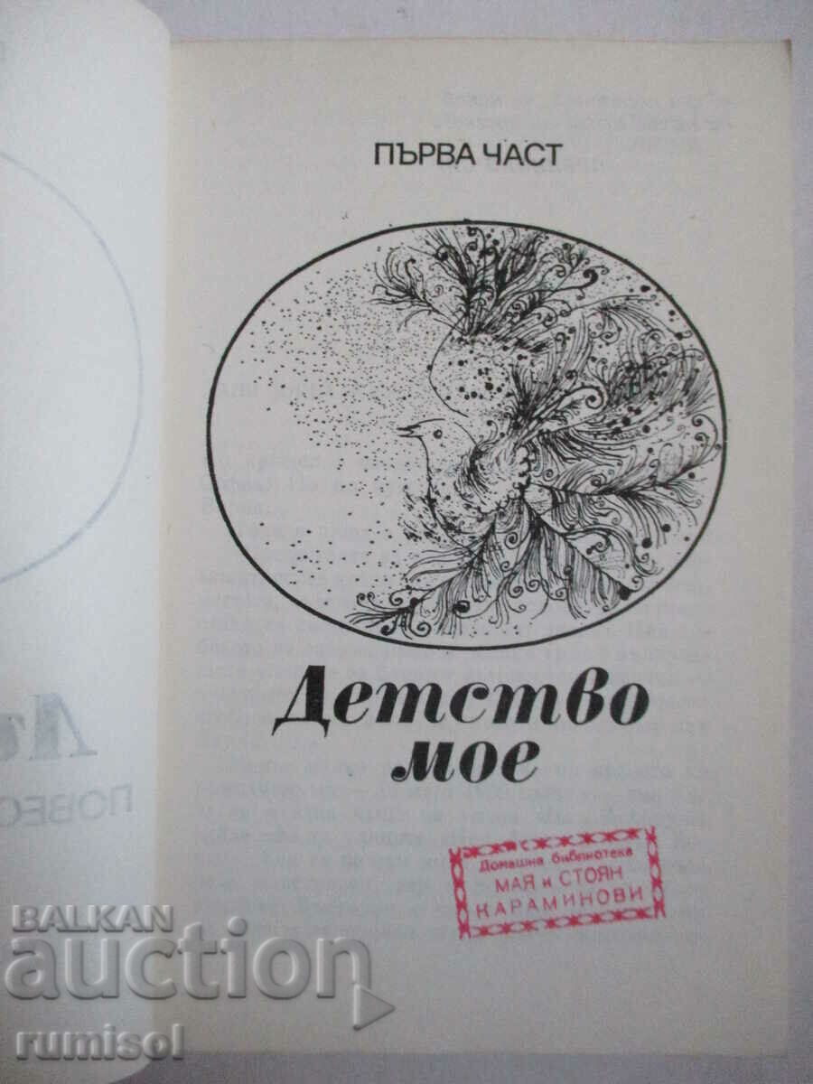 Auction  The lie - Petar Slavinski