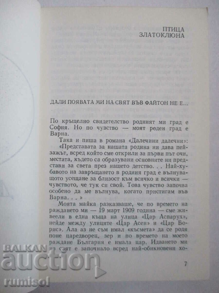 Delivery of The lie - Petar Slavinski