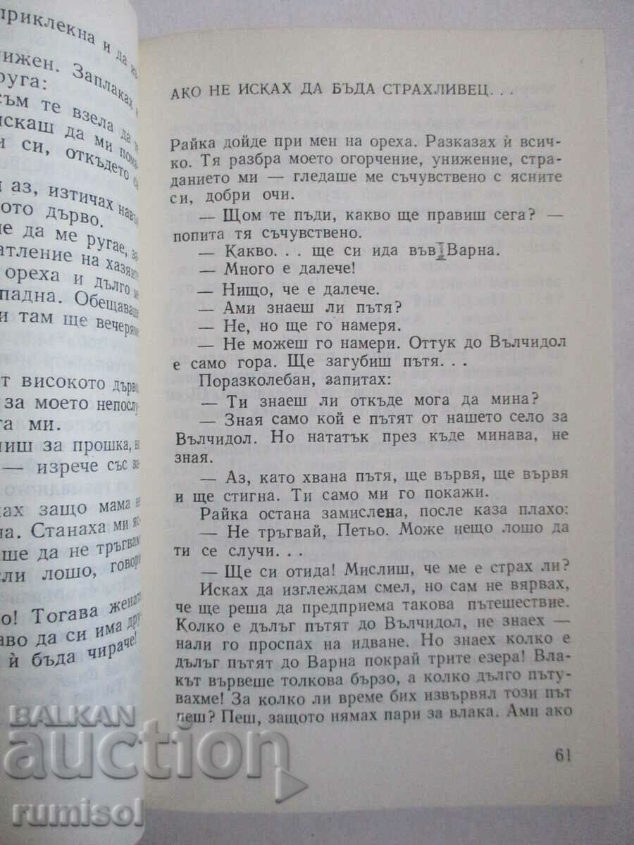 The lie - Petar Slavinski - 6