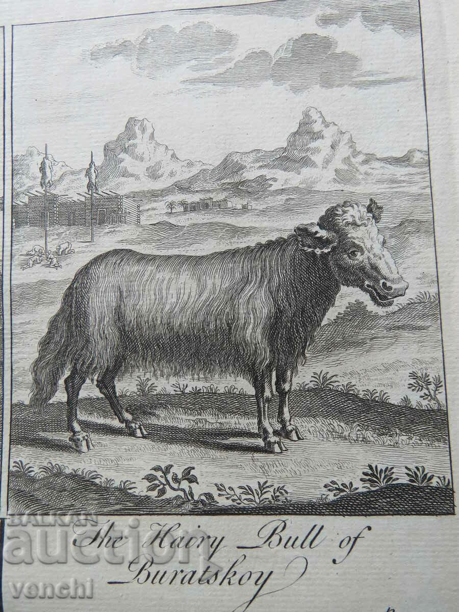 Δημοπρασία 1744 - ΧΑΡΑΚΤΙΚΟ - ΤΟΥΝΓΚΟΥΖΟΙ ΚΑΙ ΜΠΟΥΡΙΑΤΕΣ - ΠΡΩΤΟΤΥΠΟ
