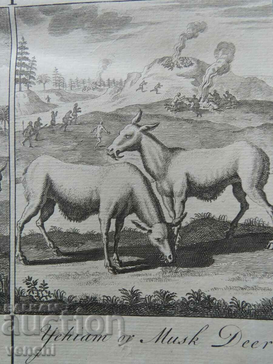 1744 - ΧΑΡΑΚΤΙΚΗ - ΤΟΥΓΚΟΙ ΚΑΙ ΤΑΦΕΣ - ΠΡΩΤΟΤΥΠΟ - 5 1744 - ΧΑΡΑΚΤΙΚΗ - ΤΟΥΓΚΟΙ ΚΑΙ ΤΑΦΕΣ - ΠΡΩΤΟΤΥΠΟ - 5