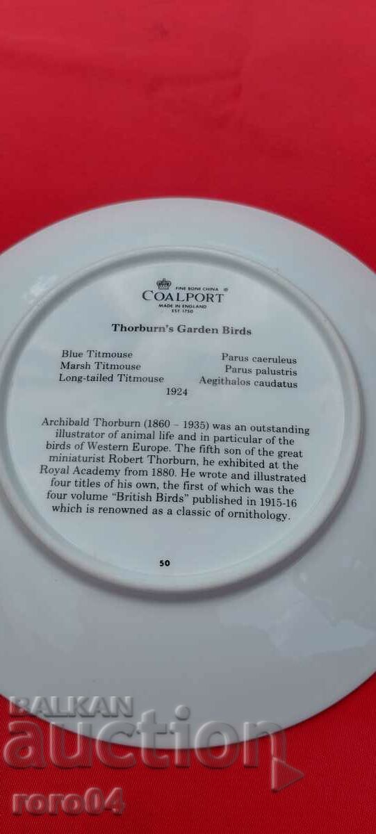 BEAUTIFUL PORCELAIN PLATE - 5 BEAUTIFUL PORCELAIN PLATE - 5