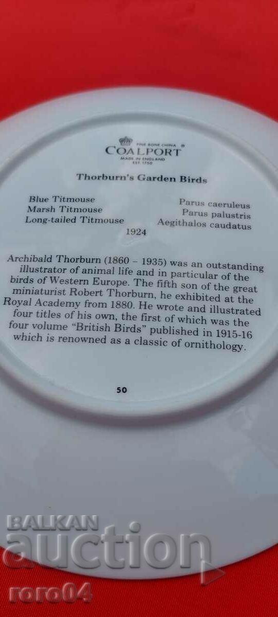 BEAUTIFUL PORCELAIN PLATE - 6 BEAUTIFUL PORCELAIN PLATE - 6