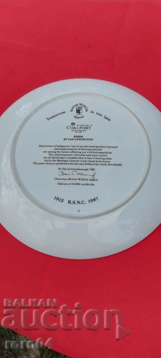 FRUMOASĂ PLATĂ DE PORCELAN - 5