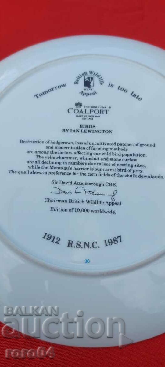 КРАСИВА ПОРЦЕЛАНОВА ЧИНИЯ - 6 КРАСИВА ПОРЦЕЛАНОВА ЧИНИЯ - 6