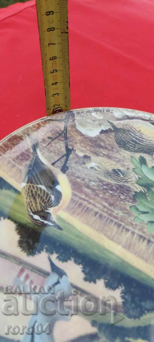 FRUMOASĂ PLATĂ DE PORCELAN - 7