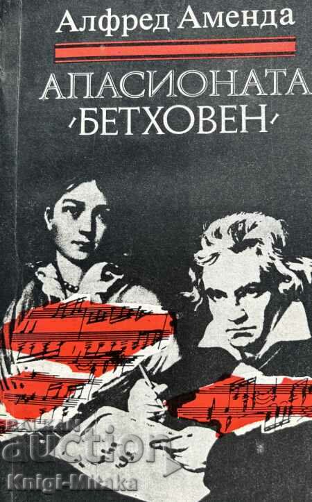 The Passion (Beethoven) - A novel about Beethoven's life