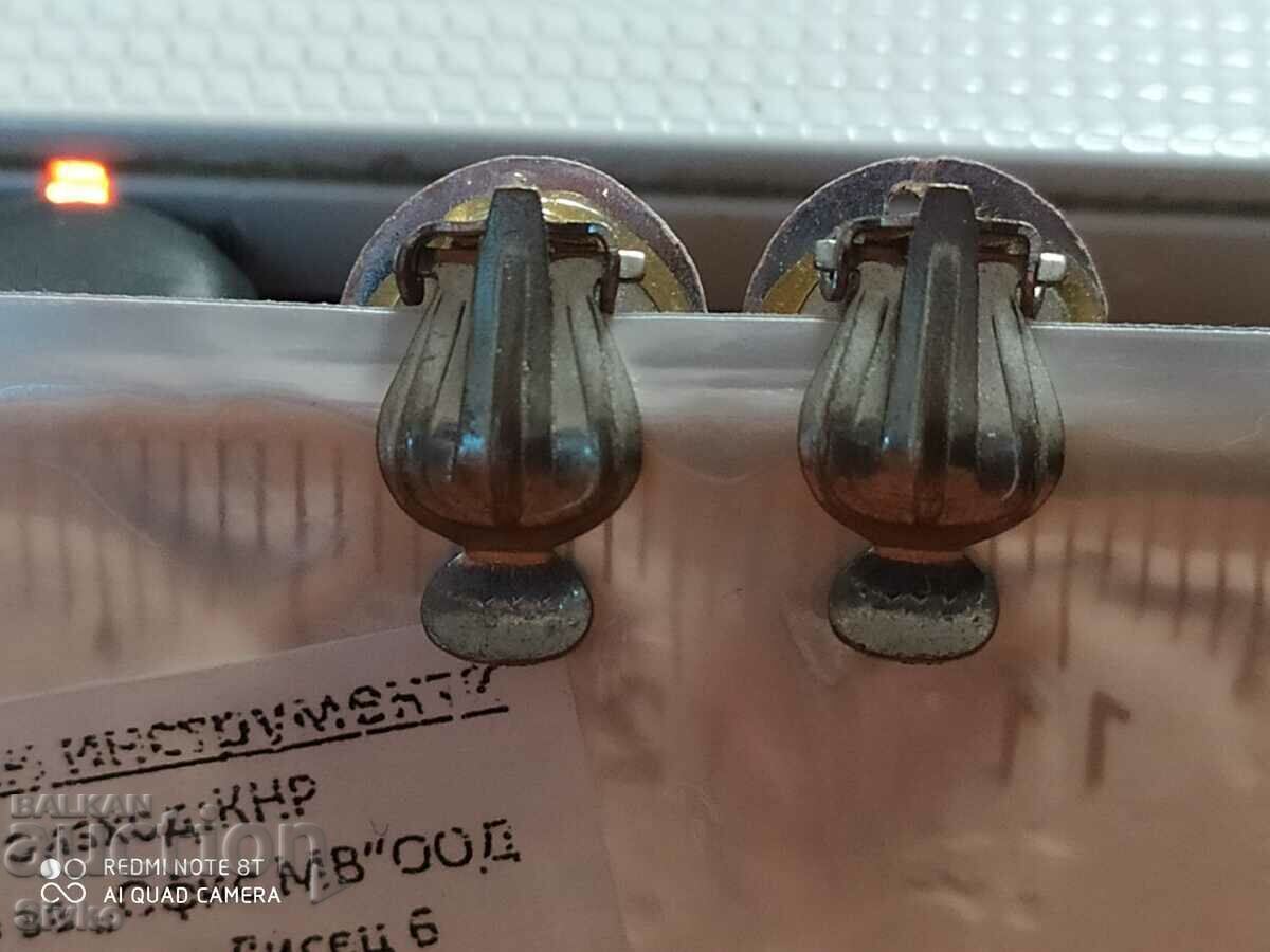 Auction Small earrings Auction Small earrings