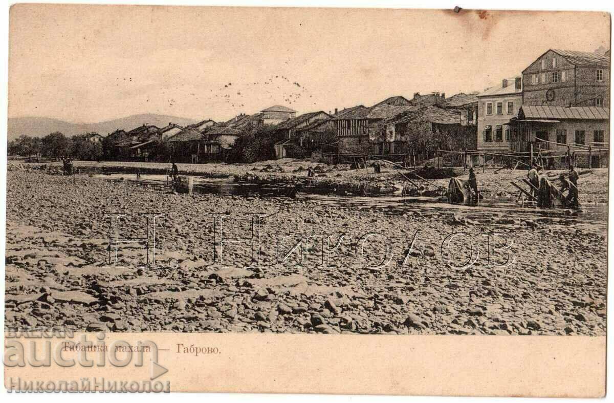 1914 OLD GABBRO CARD TABASHKA NEIGHBORHOOD G785