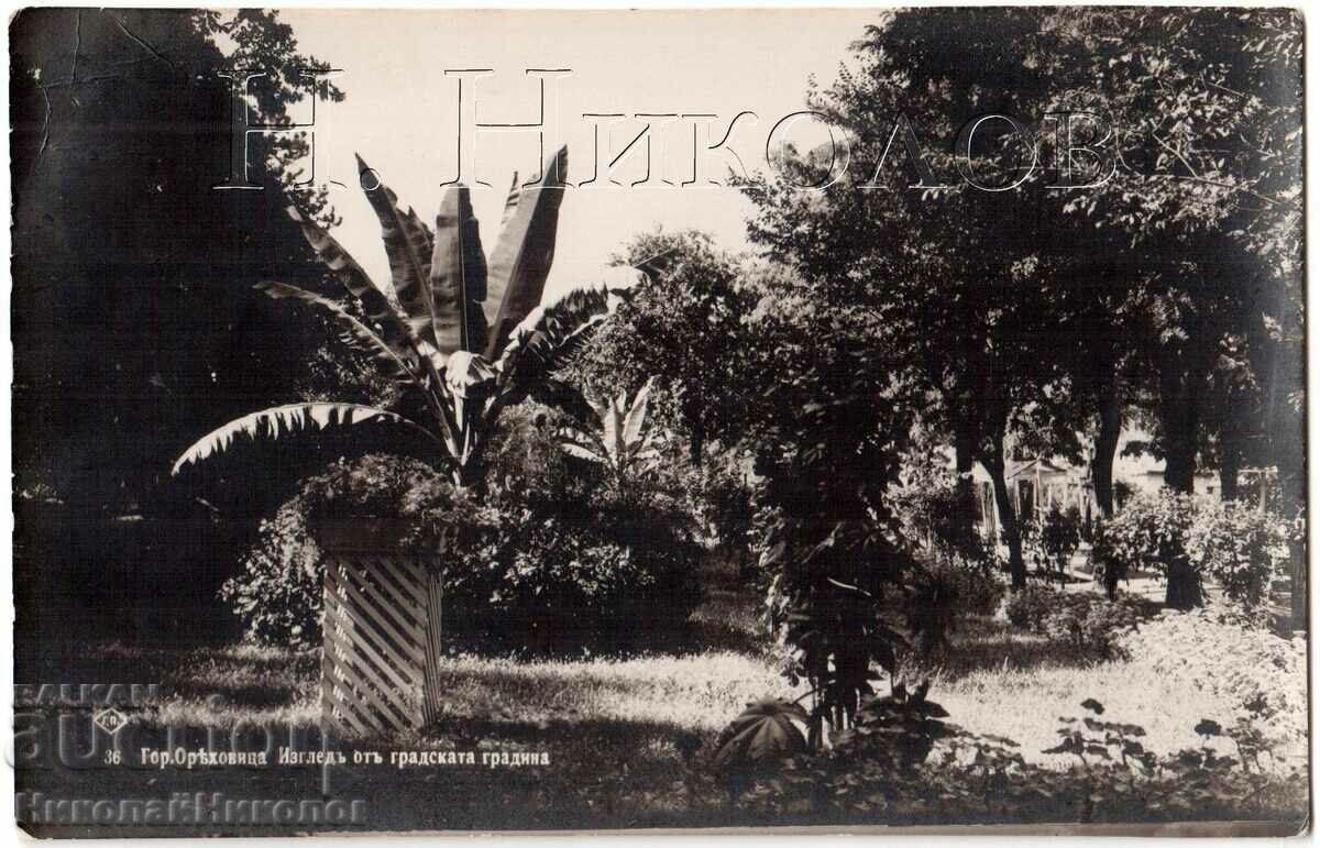 1935 СТАРА КАРТИЧКА ГОРНА ОРЯХОВИЦА ГРАДСКА ГРАДИНА Г793