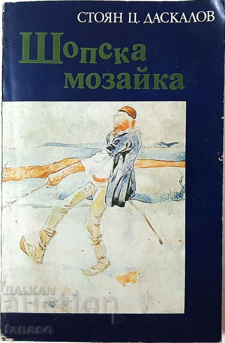 Magazin mozaic, Stoyan Ts Daskalov (18.6.1)