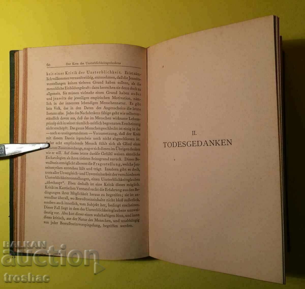 Old Book GRAF HERMAN KEYSERLING IMMORTALITY 1920. - 5 Old Book GRAF HERMAN KEYSERLING IMMORTALITY 1920. - 5