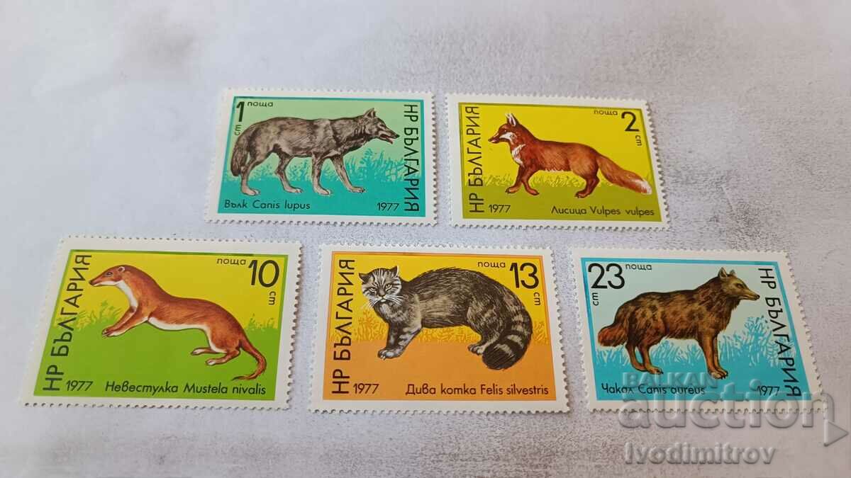 Postage stamps NRB Wild animals 1977