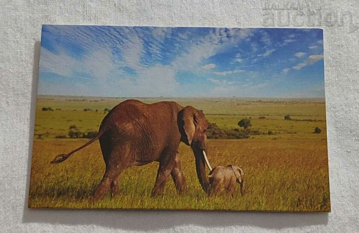 ELEPHANT WITH BABY ELEPHANT CALENDAR 2015