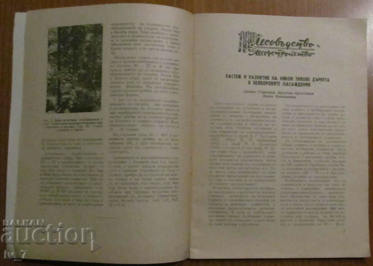 Delivery of "FORESTRY" MAGAZINE - ISSUE 1, 1964