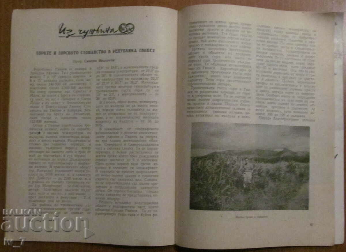 "FORESTRY" MAGAZINE - ISSUE 11, 1965 - 7 "FORESTRY" MAGAZINE - ISSUE 11, 1965 - 7